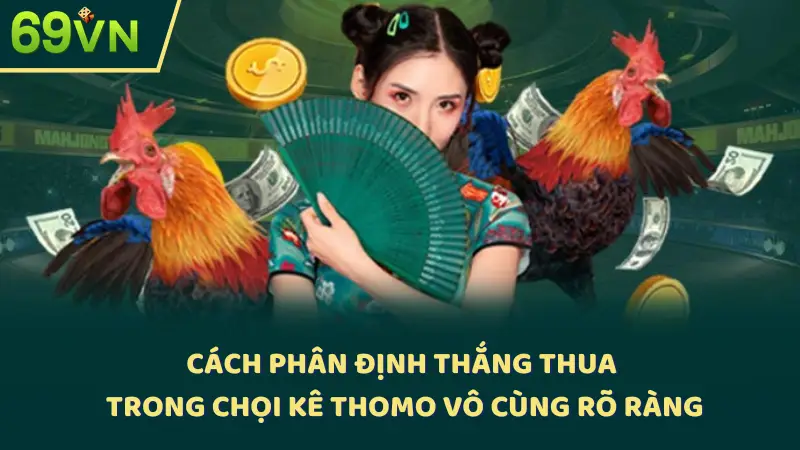 Cách phân định thắng thua trong chọi kê Thomo vô cùng rõ ràng