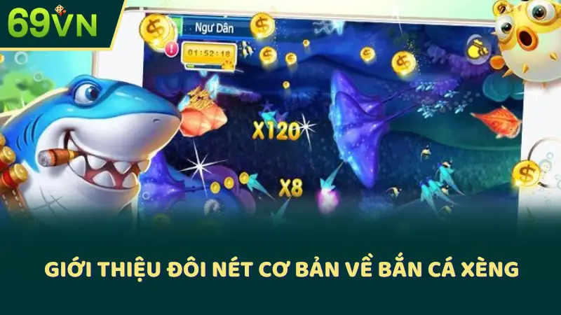 Giới thiệu đôi nét cơ bản về bắn cá xèng